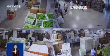 警方破獲億元網紅減肥食品大案，80人落網！