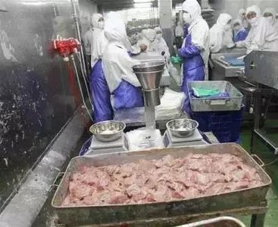 上海法院食品安全典型案例獲國新辦新聞發(fā)布會肯定